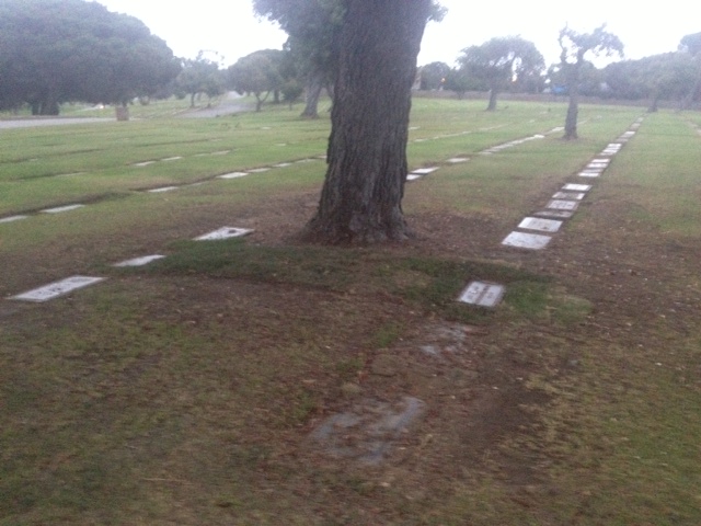 A forgotten member of the Maybelline Family can at last Rest in Peace.
