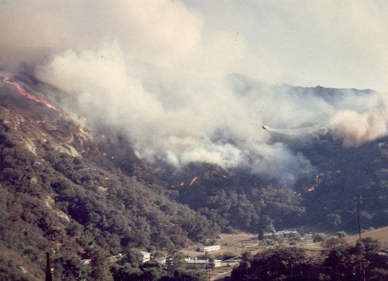 MY HOUSE BURNED DOWN IN THE LAGUNA BEACH  FIRESTORM 1993,