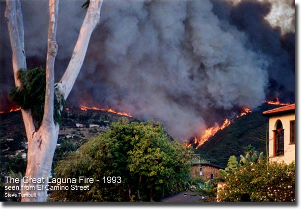 LAGUNA BEACH FIRESTORM DEVOURS OUR HOME..