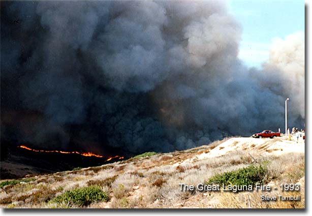 LAGUNA BEACH FIRESTORM DEVOURS OUR HOME..