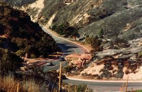 Maybelline Story Author lost her home in the LAGUNA BEACH FIRESTORM, October 27, 1993