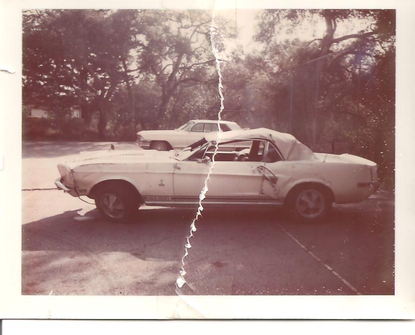 Bill Williams 68 Shelby Cobra, GT 500 and 1971 Eldorado Convertible.